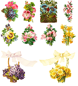 復古花朵花卉插畫