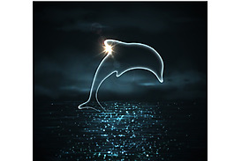夜晚大海里的海豚插畫