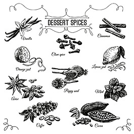 佛手手繪素描香料線稿