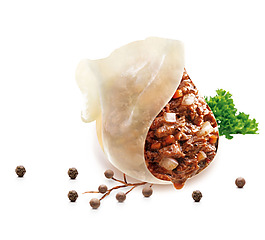 美味水饺花椒元素