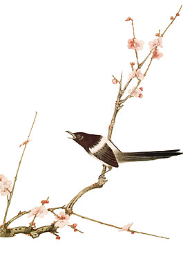中國(guó)風(fēng)花枝小鳥PNG元素