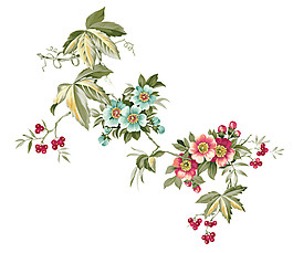 中國風彩色花朵國畫PNG元素