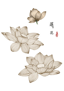 素描荷花PNG元素
