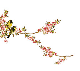 中國(guó)風(fēng)簡(jiǎn)約花鳥PNG元素