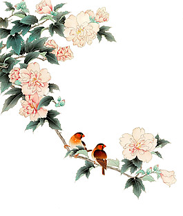 中國風花鳥畫PNG元素