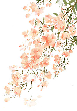 粉色花枝PNG元素