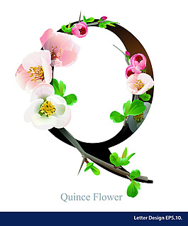 英文字母花卉字體設(shè)計(jì)