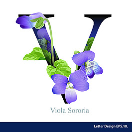 牽牛花熱帶花卉英文字母字體設(shè)計