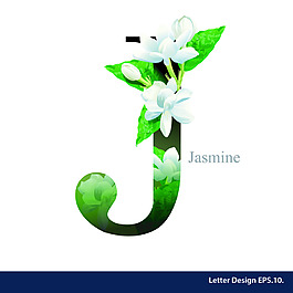 百合熱帶花卉英文字母字體設(shè)計(jì)