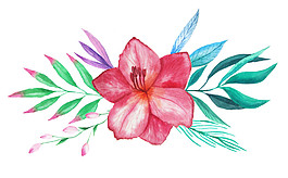 简约花草PNG元素