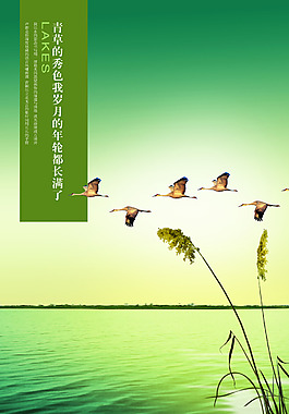 青草的秀色圖片