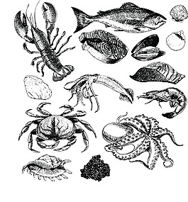 素描海鮮矢量裝飾素材