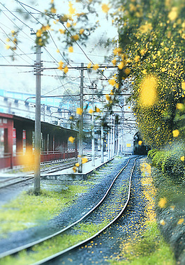 花藤鐵路小道H5背景素材