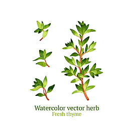 卡通綠色樹枝組成裝飾