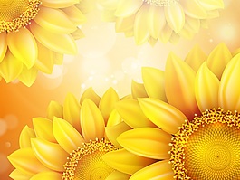 時(shí)尚向日葵花朵背景素材