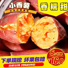 香糯甜地瓜主圖