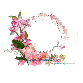 花朵素材