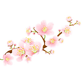 桃花盛開(kāi)素材