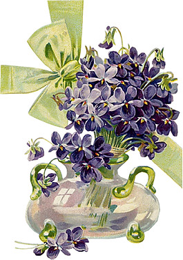 紫色鮮花花朵素材圖片