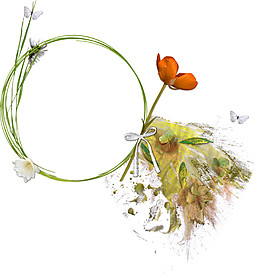 創(chuàng)意花朵邊框元素