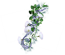 精美花草實(shí)物元素