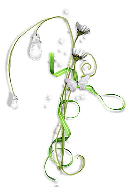 精美花草元素素材