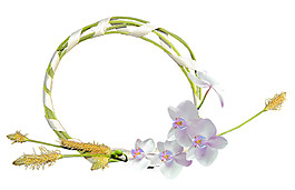 浪漫花朵相框素材