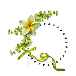 小清新綠葉花朵素材
