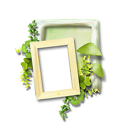 綠色藤本邊框素材