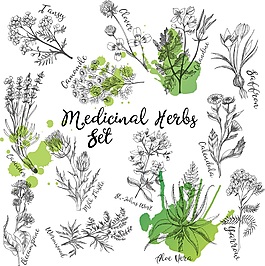 黑白線描花朵水彩背景矢量