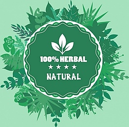 綠色植物矢量素材