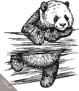 小熊可愛矢量大熊貓素材