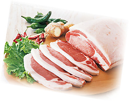 實物蔬菜肉類元素