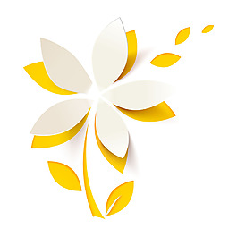 手绘黄白花朵元素