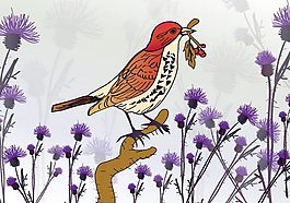 花鳥背景素材