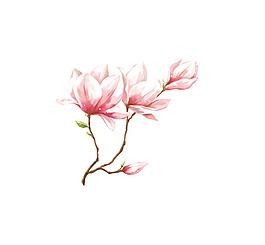 粉色花朵png元素素材