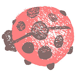 七星瓢蟲素材圖片