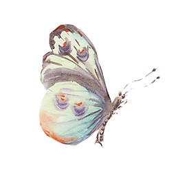 夢(mèng)幻蝴蝶素材圖片