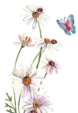 花朵花卉昆蟲素材圖片