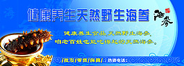 健康養(yǎng)生天然野生海參宣傳海報(bào)