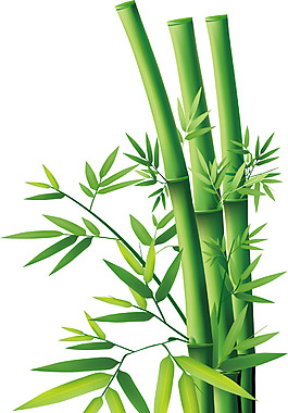 手繪綠色竹子元素