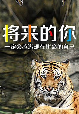 將來的你H5頁面