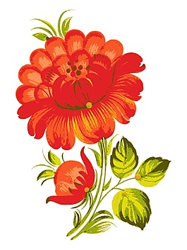 雛菊花卉矢量素材