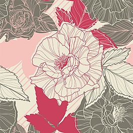 線描玫瑰花矢量花朵素材