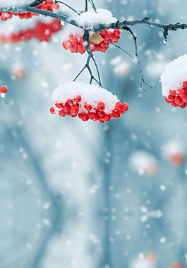 紅色果雪花冬季H5背景素材