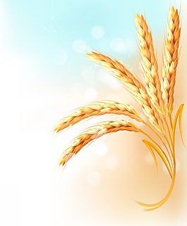 環(huán)保糧食相關(guān)矢量素材