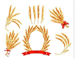 小麥一束矢量素材
