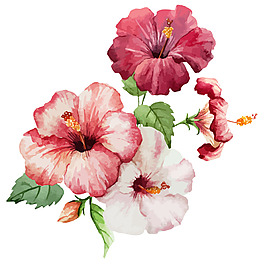 唯美水彩花卉插画