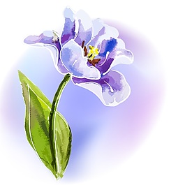 素雅水彩花卉矢量素材