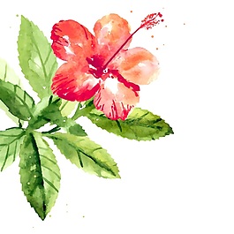 小清新水彩花卉矢量素材